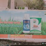 Digital Wall Painting Advertising Agency offering creative outdoor branding solutions by ACME Advertising Co.